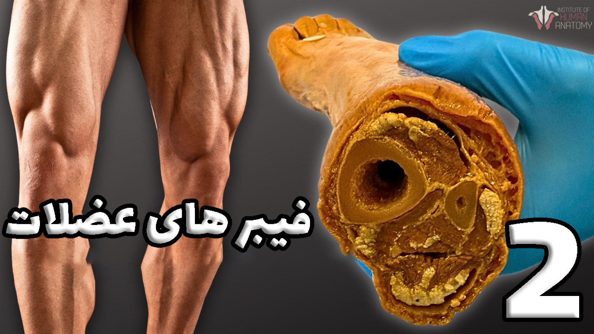 Amouzesh_Kadeh