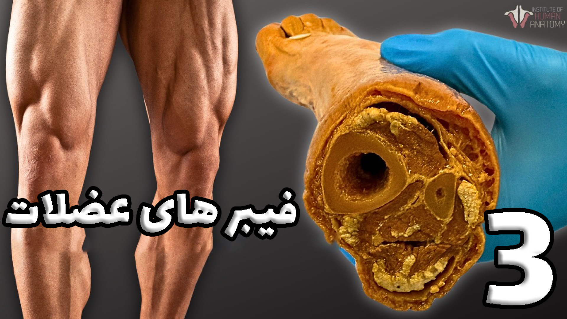 Amouzesh_Kadeh