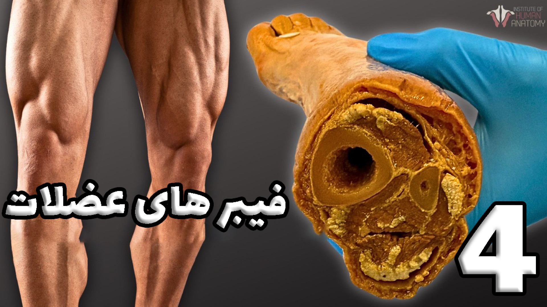 Amouzesh_Kadeh