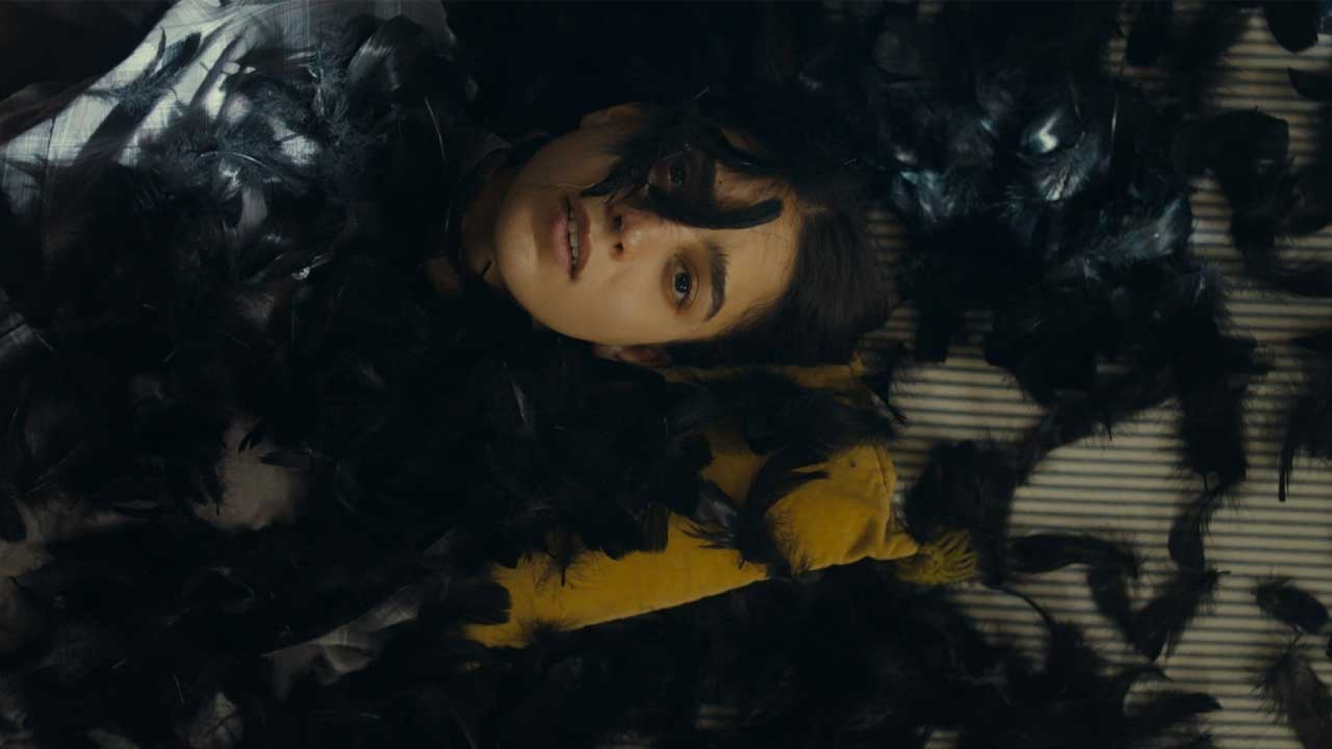 فیلم اکشن تمام جهان در خواب است - All the World Is Sleeping 2025 - اکشن جدید زمان6191ثانیه