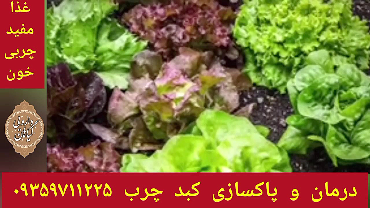 خوراکی مفید چربی خون درمان کبدچرب توسط شاگردان حکیم خیراندیش ۰۹۳۵۹۷۱۱۲۲۵ کلینیک پوست