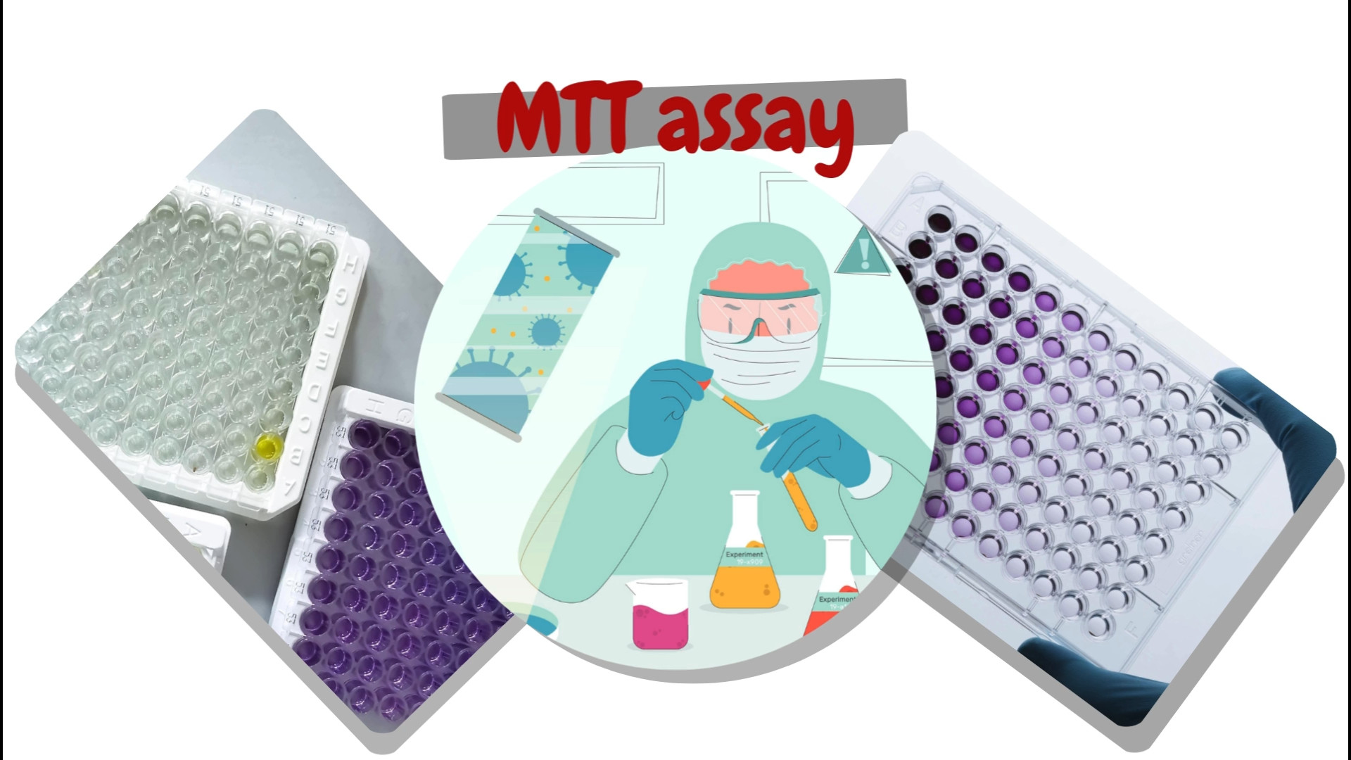 تست MTT پست اردکی