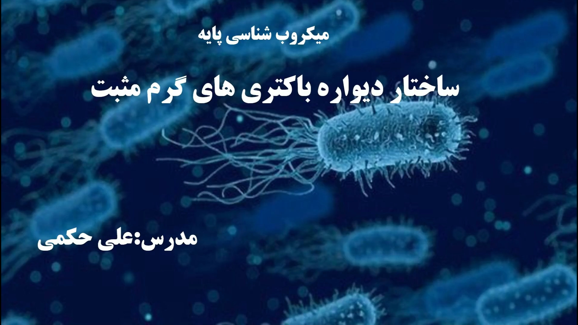 بررسی ساختار دیواره باکتری های گرم مثبت آکنه