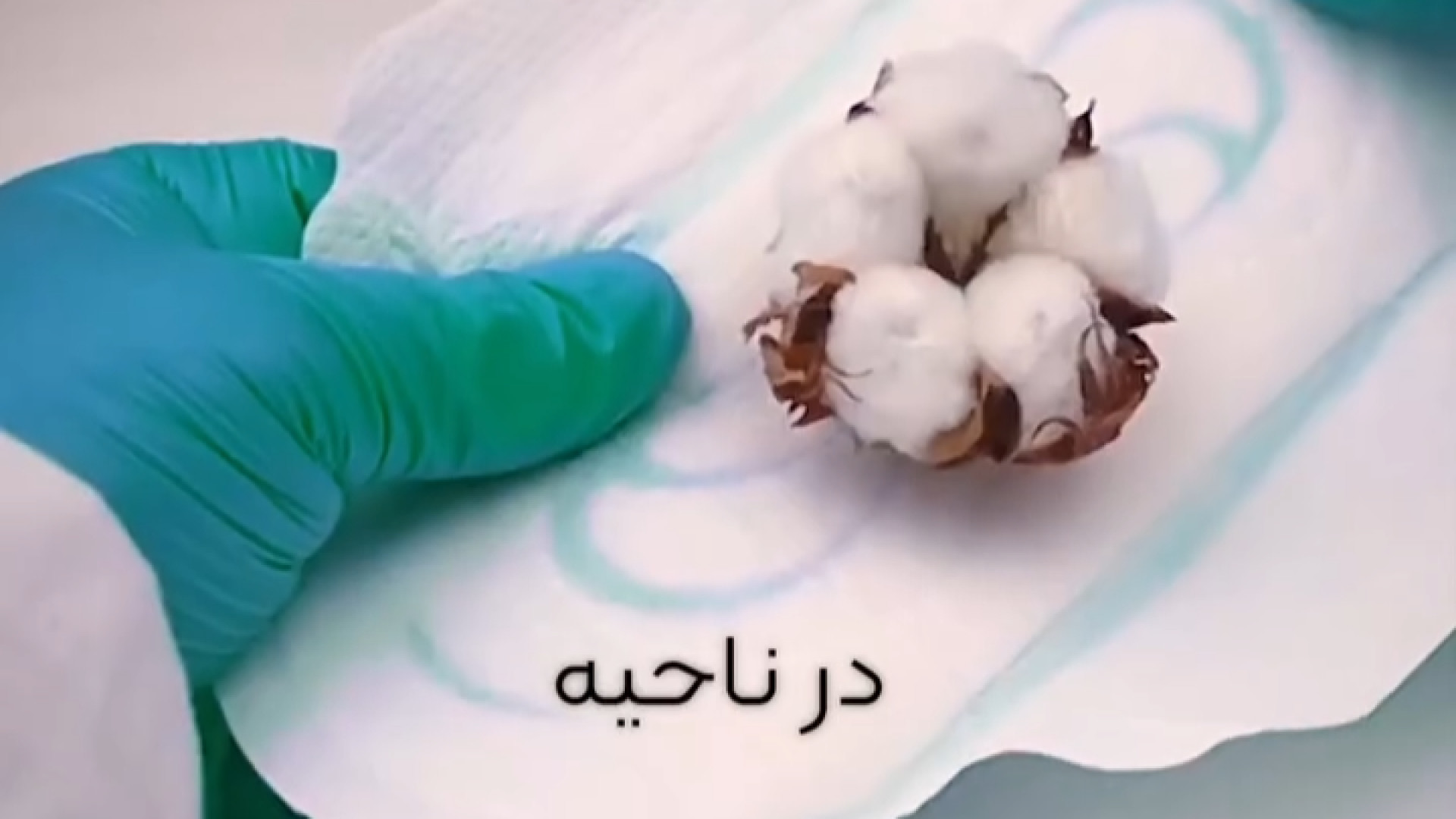بررسی علل وجود خال یا لک در ناحیه تناسلی رزولین