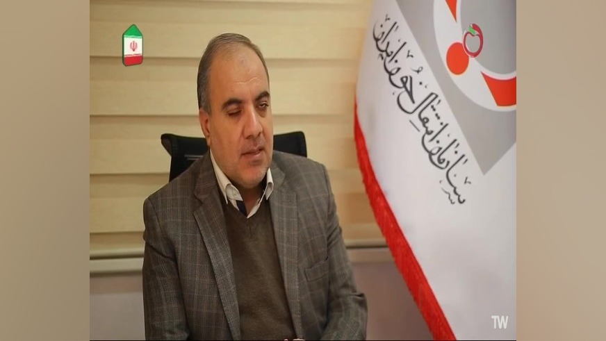 مستند شریان اصلی استریمر نق‌نقو