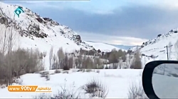 هوادار معلولی که عاشقانه استقل...