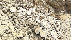 تنگه چربه قشم روستای سرریگ