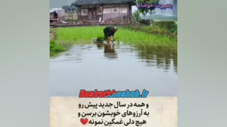 این دعای زیبای آخر سال بخوانید و گوش کنید- بصیرت خوشاب برداشتن خال