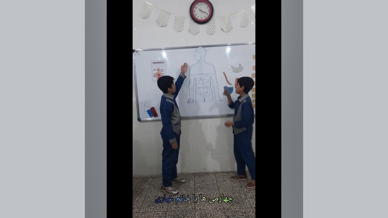دستگاه گوارش انسان جراحی گوش