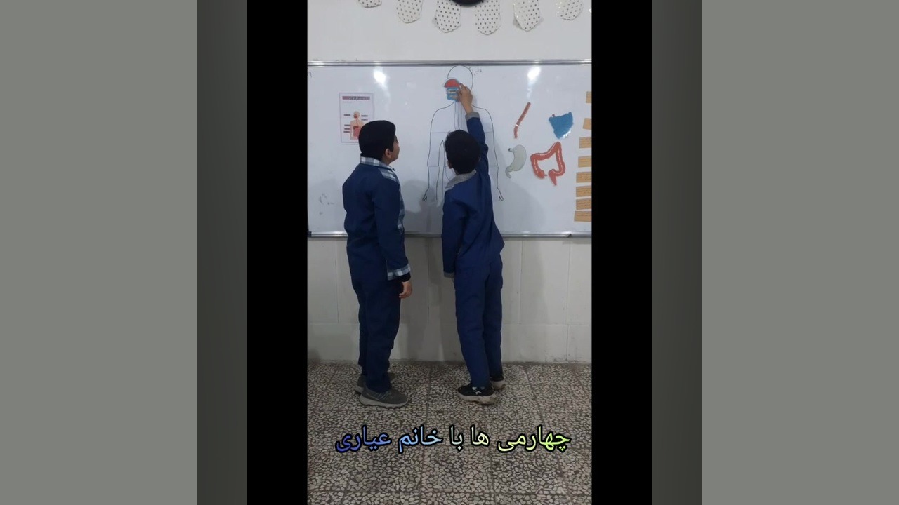 دستگاه گوارش انسان لمینت