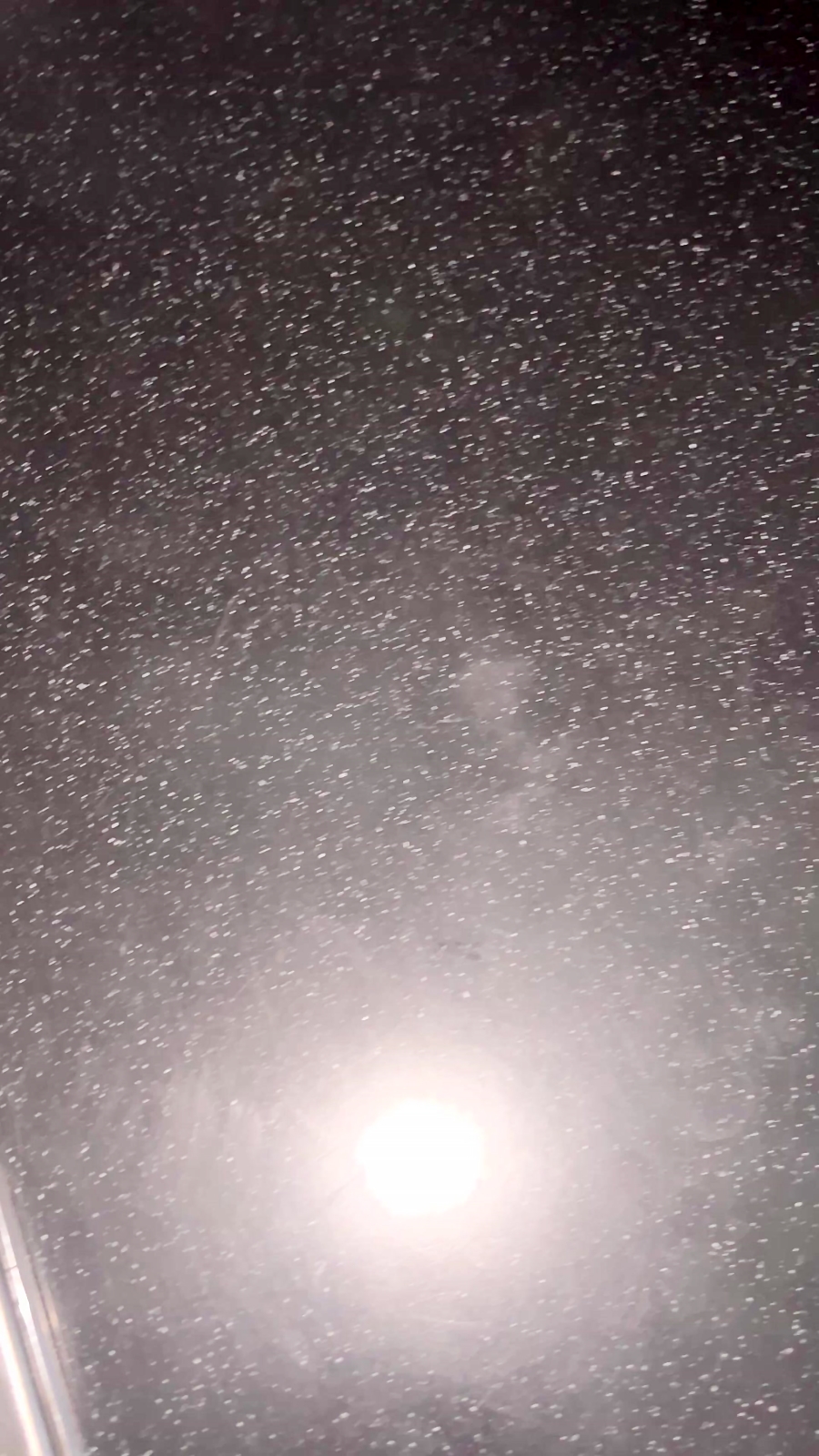 غذای رژیمی خانگی