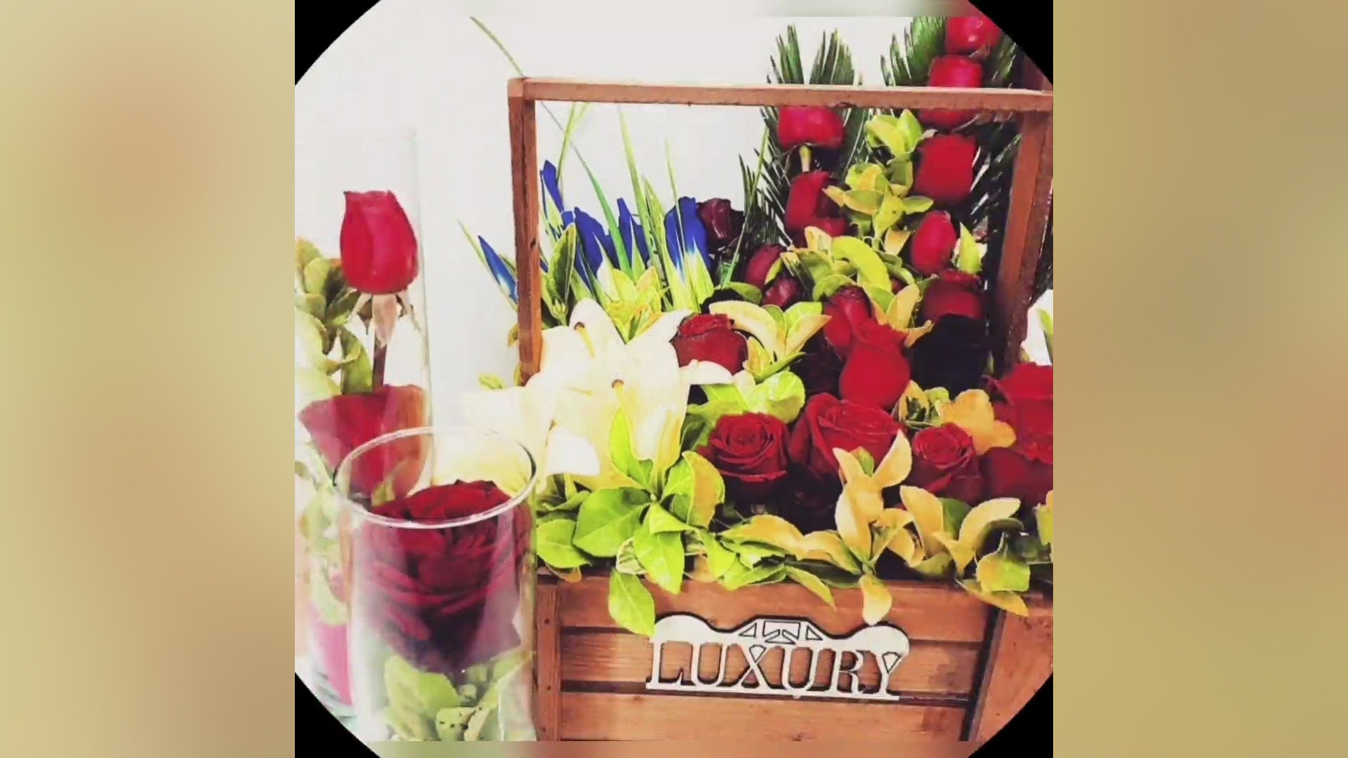 گلسرای جزیره ترمیم لبخند لثه‌ای