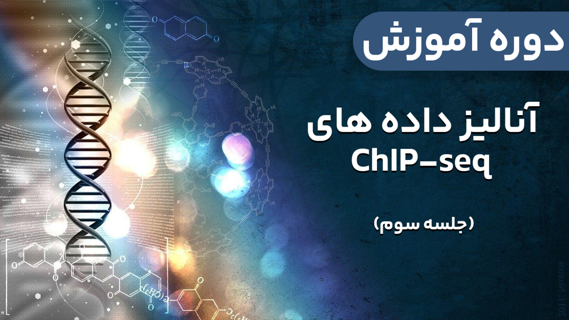 بیوانفورماتیک - تحلیل داده های NGS ChIP-seq : جلسه سوم لاکپشت رقصان