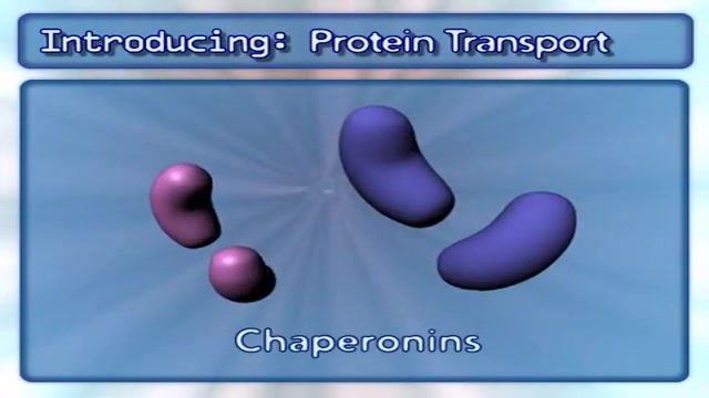 انتقال پروتئین(میتوکندری)فرآیندهای سلولی1(Protein Transport (Mitochondria آزمون سنجش اسید بیلی‌روبین غیرمستقیم