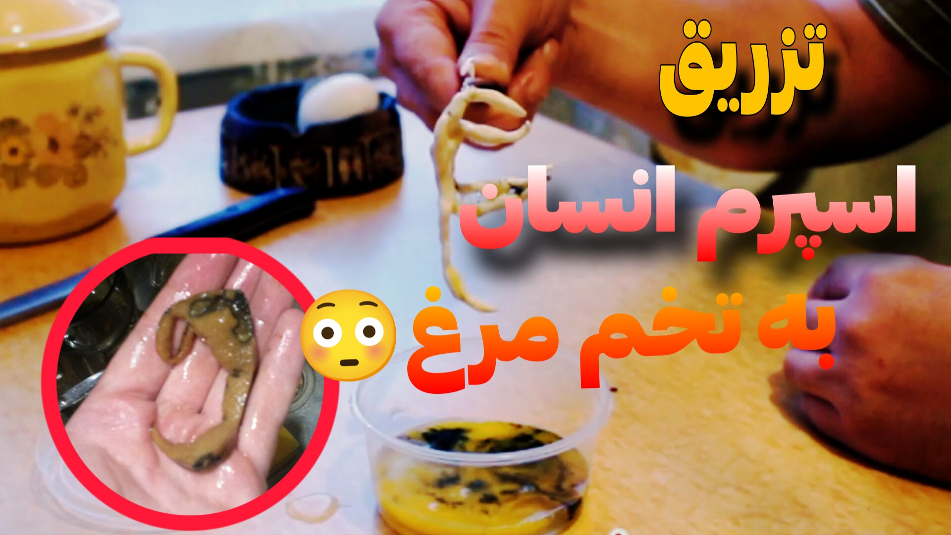 ویدو آزمایش تزریق اسپرم انسان به تخم مرغ و نتیجه ی اون!! درمان سلول‌های بنیادی