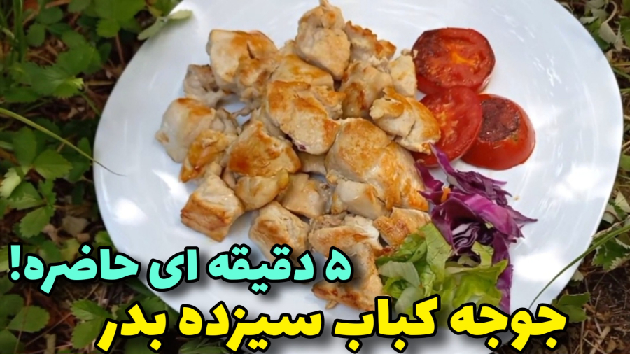 طرزتهیه جوجه کباب/جوجه کباب نرم و آبدار/ آشپزی