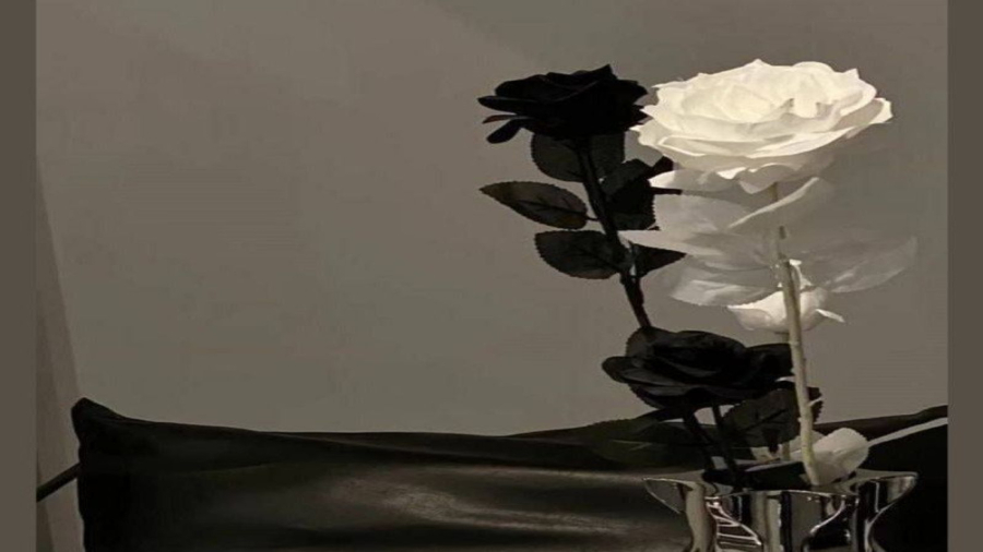 میکاپ روی میوه!