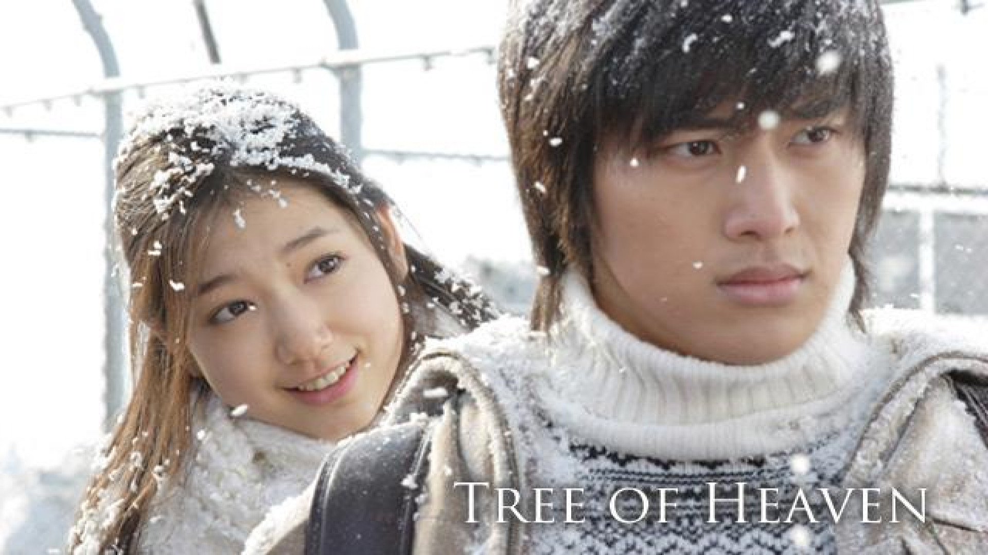 معرفی سریال کره ای «درخت بهشتی» / Tree of Heaven زمان350ثانیه