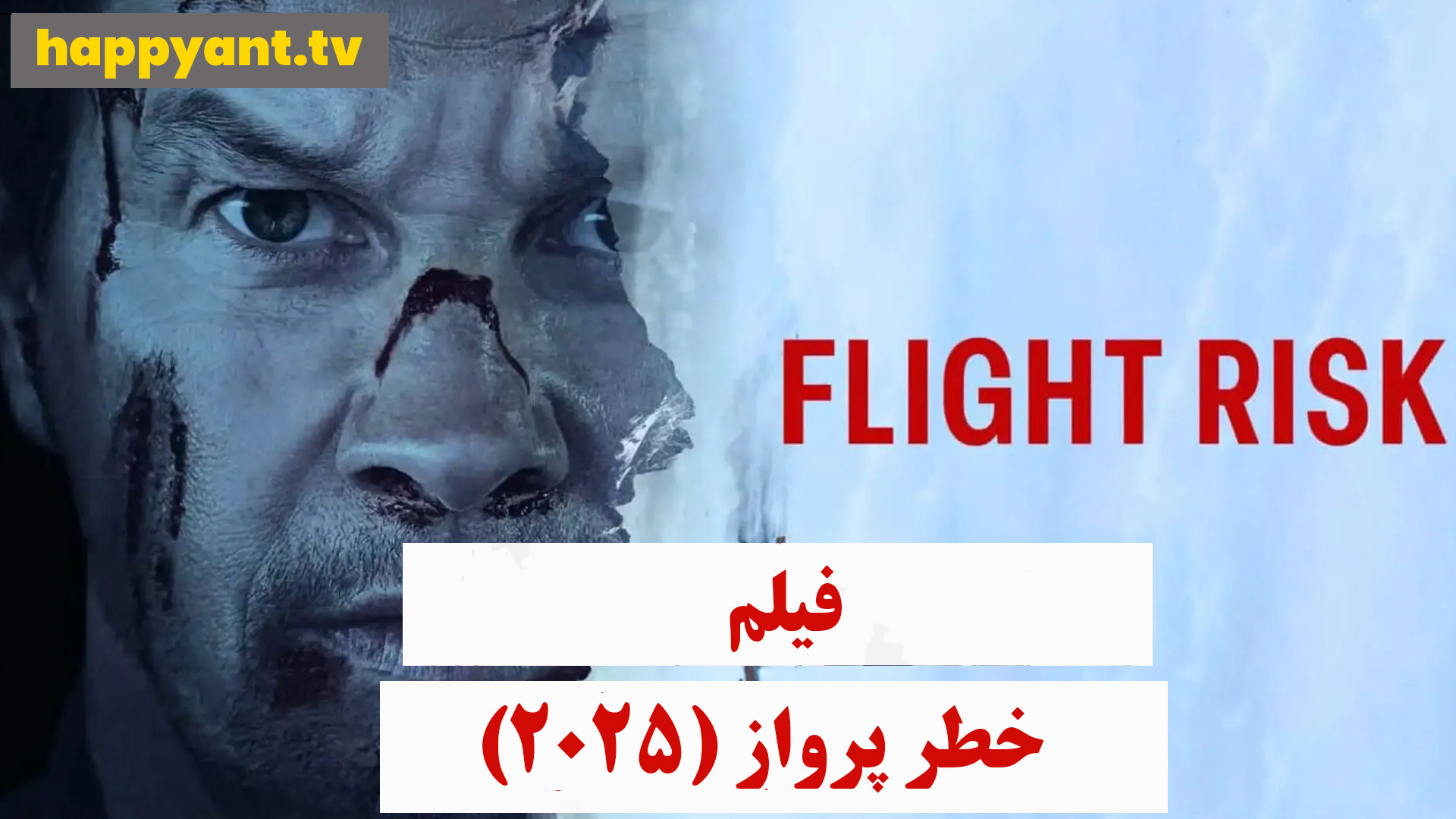دانلود رایگان فیلم خطر پرواز دوبله فارسی- Flight Risk 2025 زمان5340ثانیه