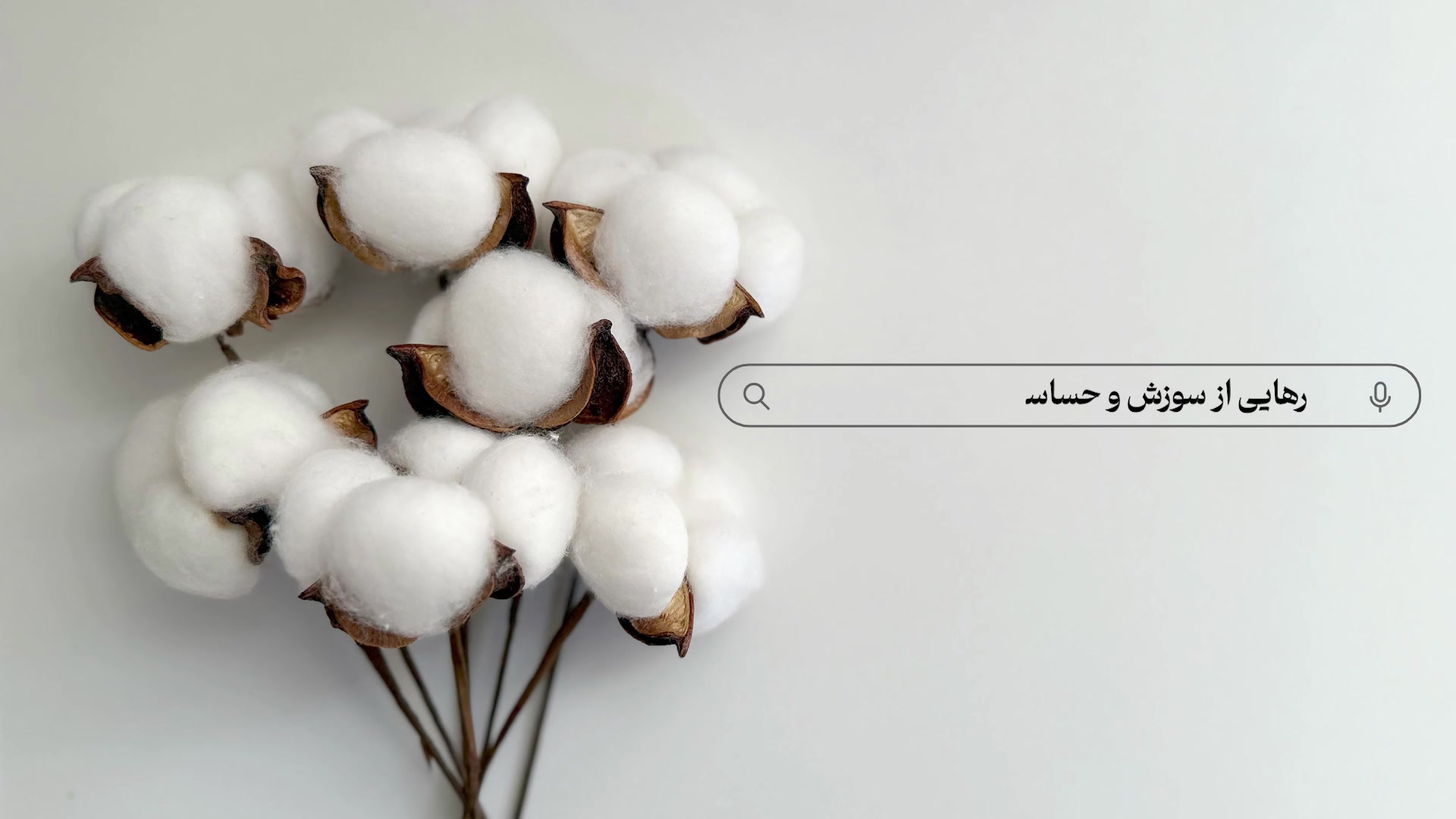 پرسا پد