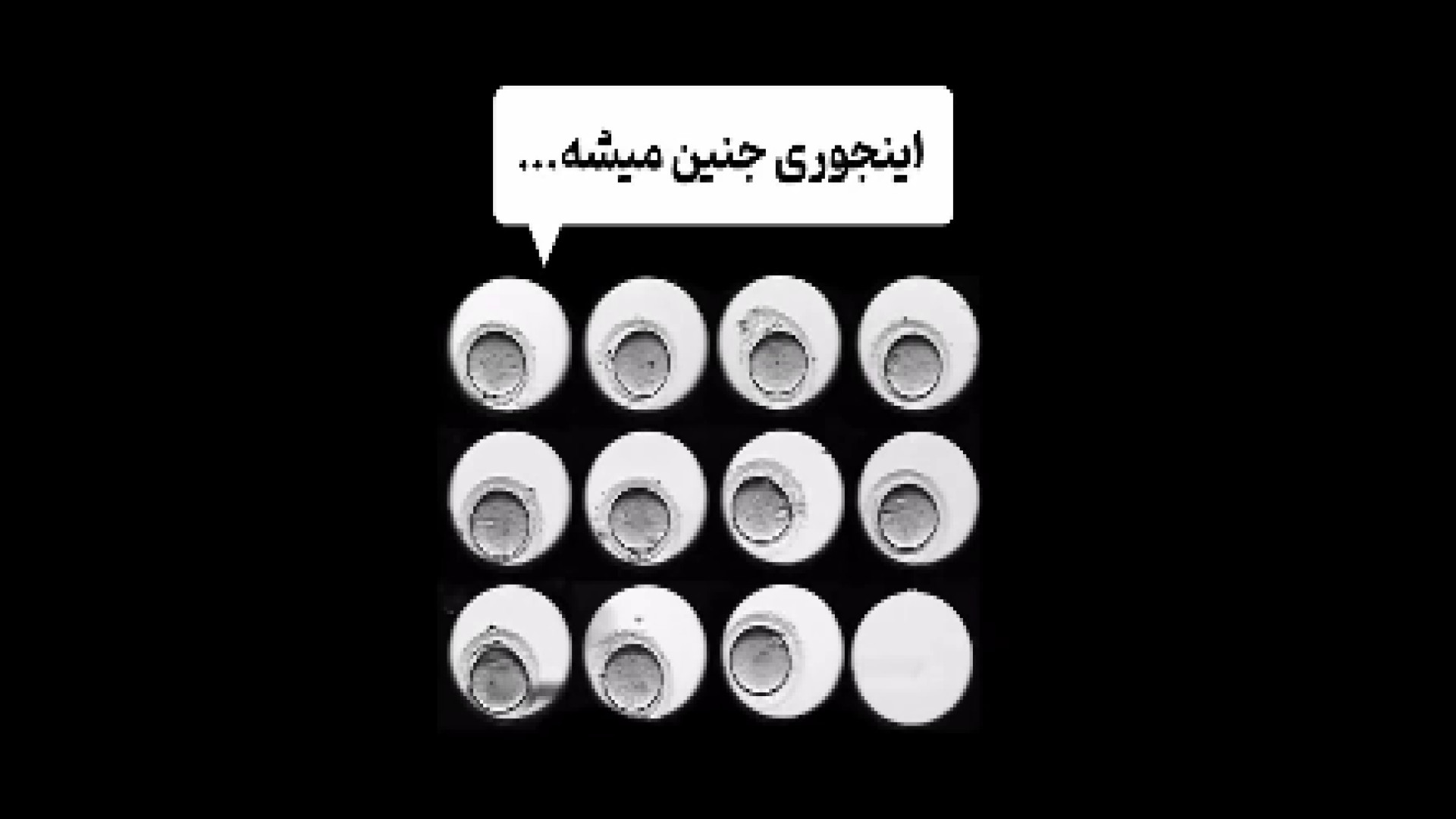 مراحل تقسیم سلولی جنین آر اف فرکشنال