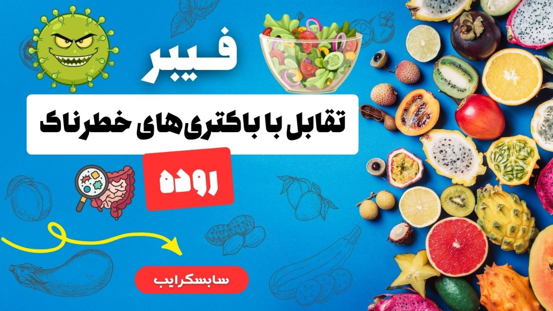 فیبر و تقابل با باکتری‌های خطرناک روده تزریق بوتاکس