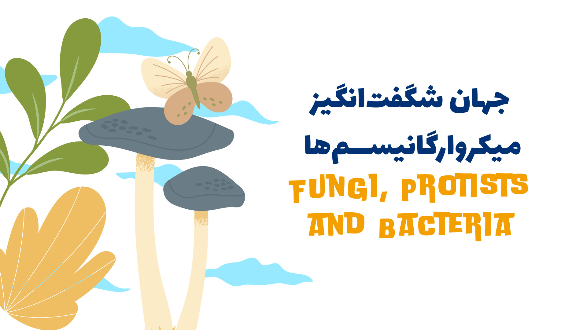 جهان شگفت‌انگیز میکروارگانیسم‌ها | از قارچ‌ها تا باکتری‌ها Axon Guidance Study