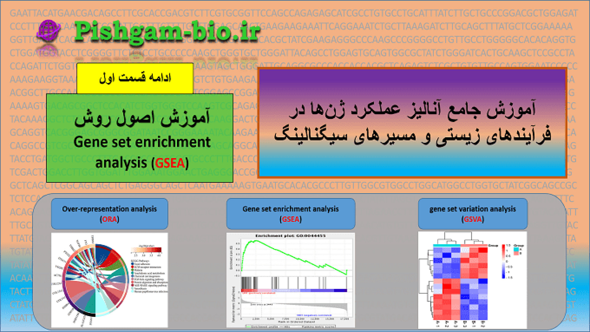 بررسی فعالیت ژن‌ها و مسیرهای سلولی قسمت پنجم: بررسی عملکرد ژن‌ها به روش GSEA PEFR