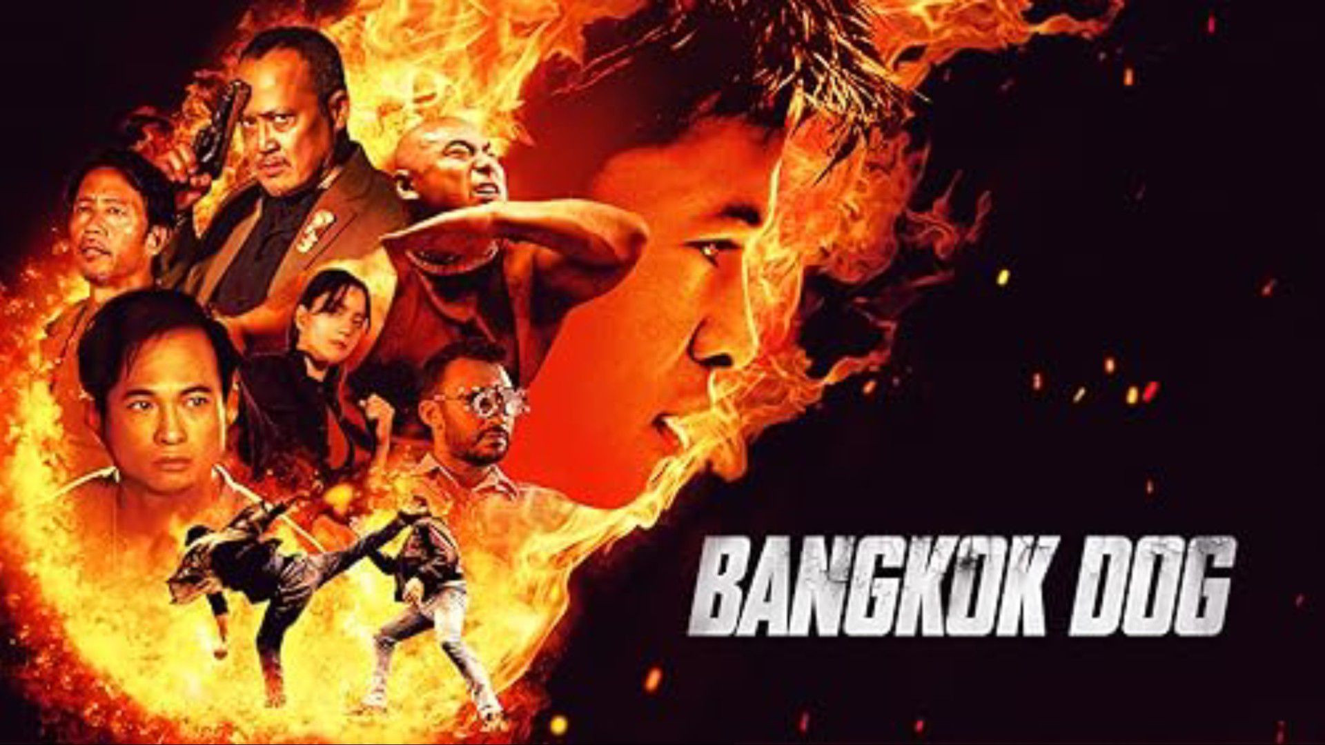 معرفی فیلم کره ای سگ بانکوک ۲۰۲۵ Bangkok dog زمان91ثانیه
