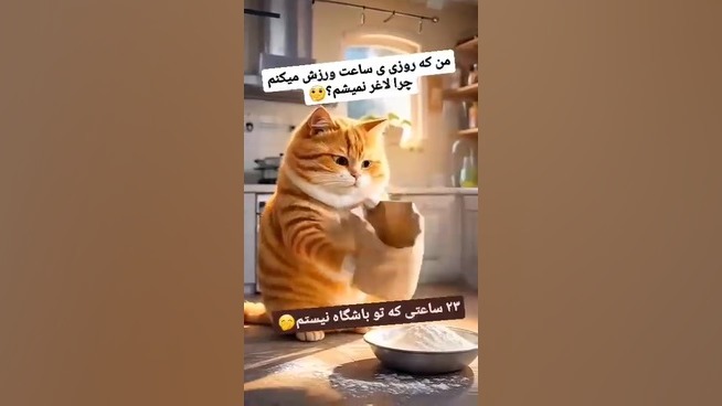 aboalfaz10