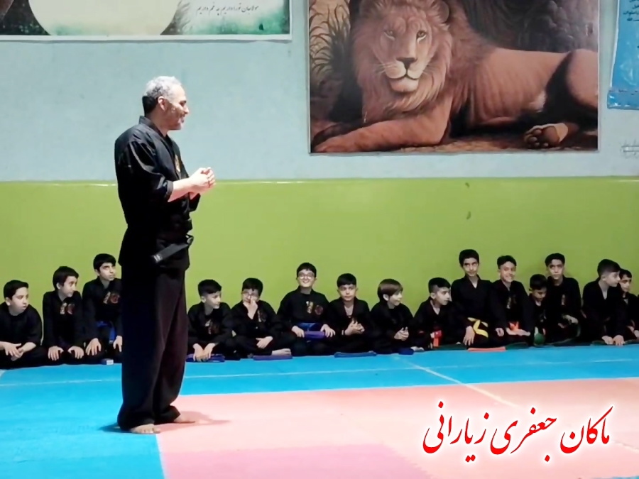 قبولی کمربند زرد ماکان جعفری زیارانی . باشگاه نینجای ابیک