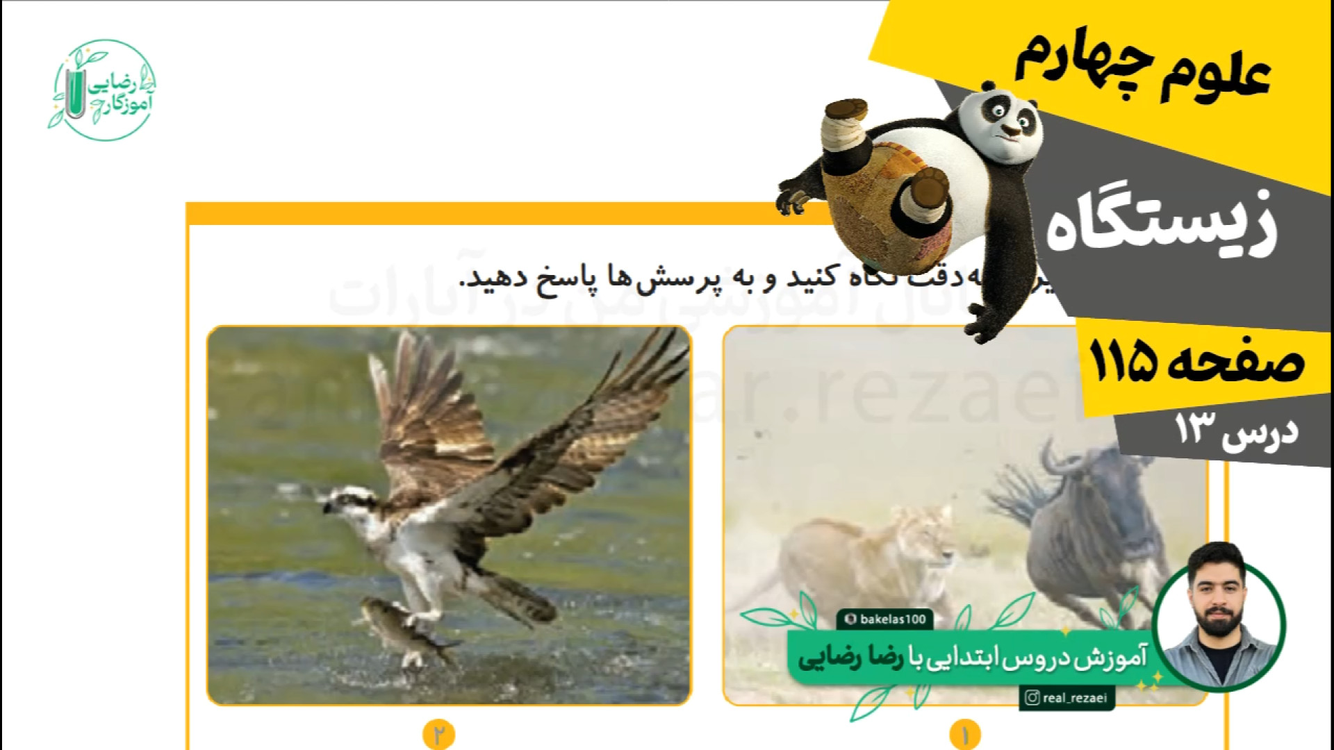 صفحه 115 علوم چهارم ابتدایی | درس سیزدهم | زیستگاه بررسی لک صورت