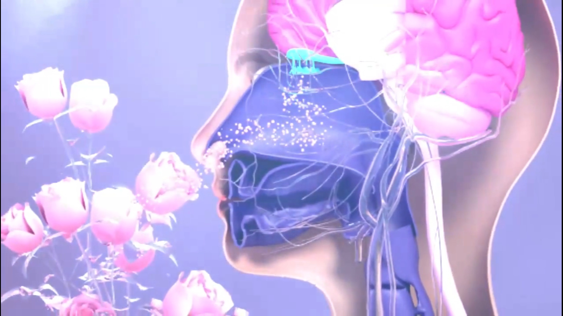 اولین مرحله درمان همه بیماری‌ها در طب جامع اسلامی _ حکیم محسن اسماعیلی Axon Guidance Study