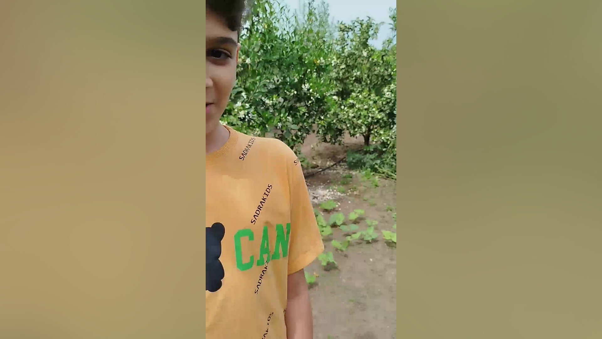 اتاق مخفی جراحی بینی