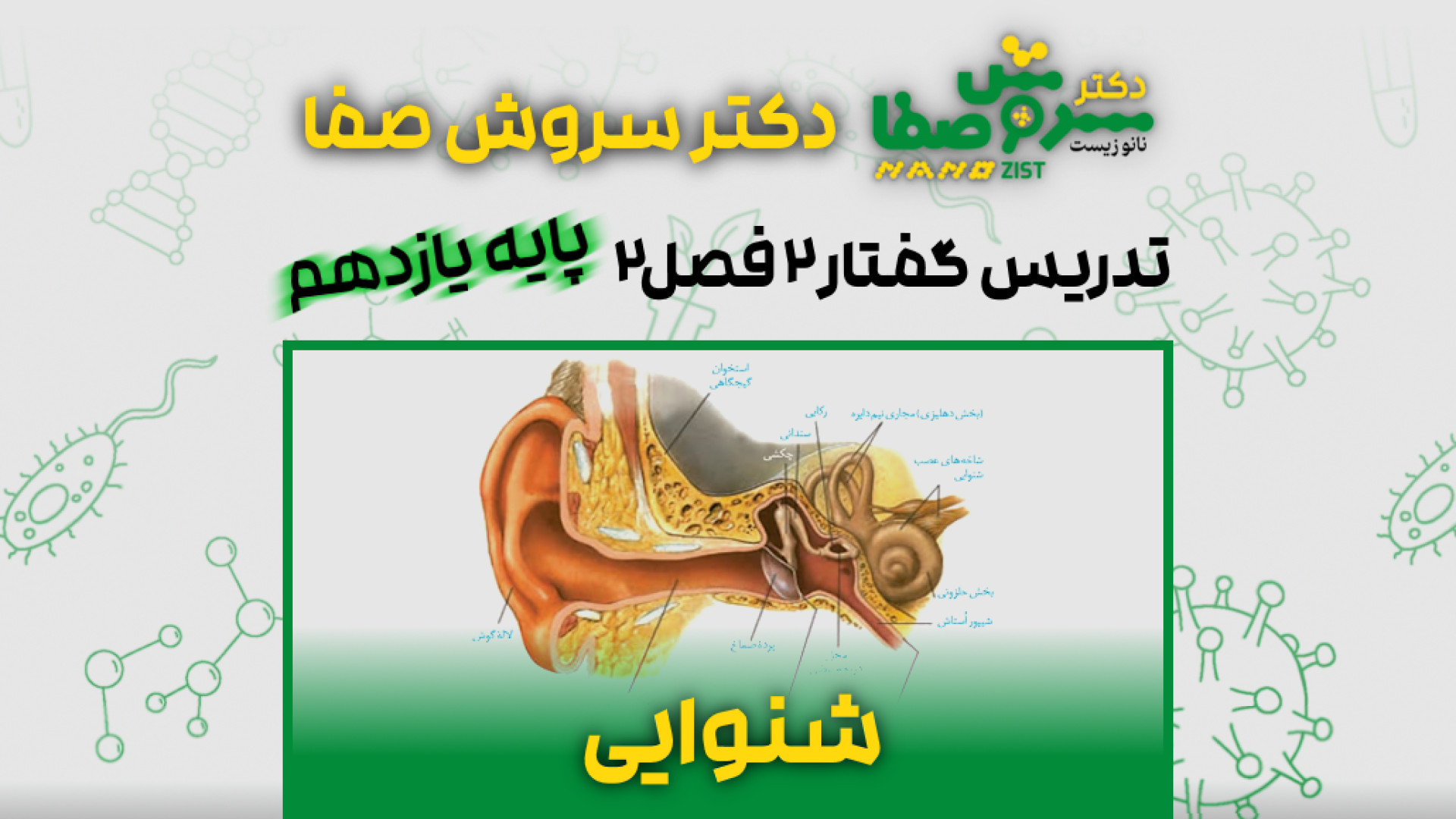 تدریس گفتار 2 فصل 2 زیست یازدهم : شنوایی - دکتر سروش صفا کالا دیجیتال