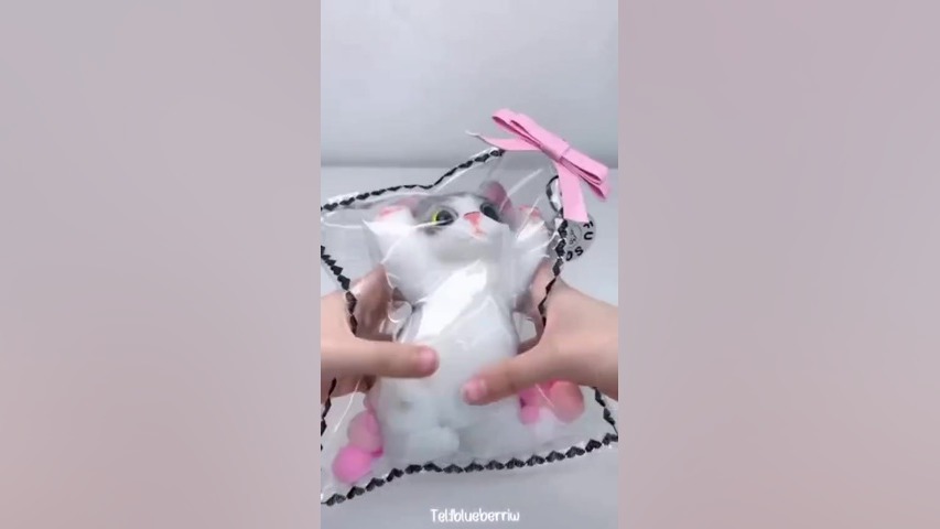 Skuishy cat هوش مصنوعی ترند