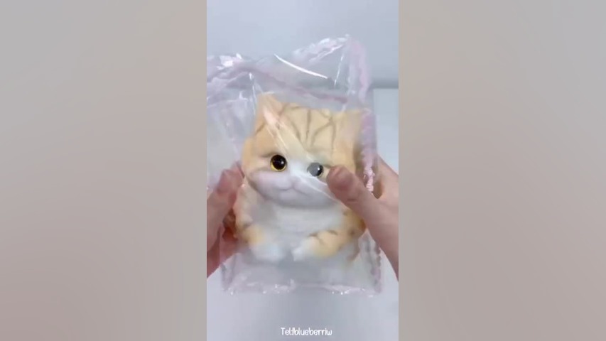 Skuishy cat پلاستیک لثه