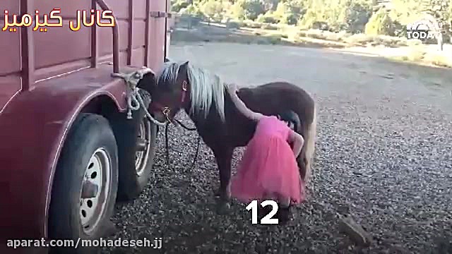سوار شدن خستگی ناپذیر دختر بچه روی اسب لیفت ابرو
