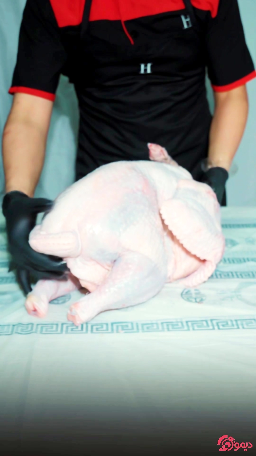 طبخ بوقلمون کامل دیمون