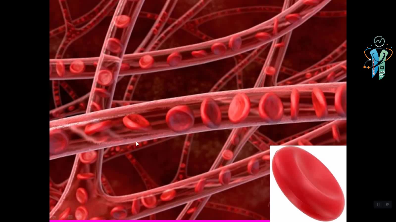 تفسیر آزمایش CBC برای دانشجویان پزشکی عمومی توسط دکتر حبیب اله گل افشان بخش اول پیلینگ