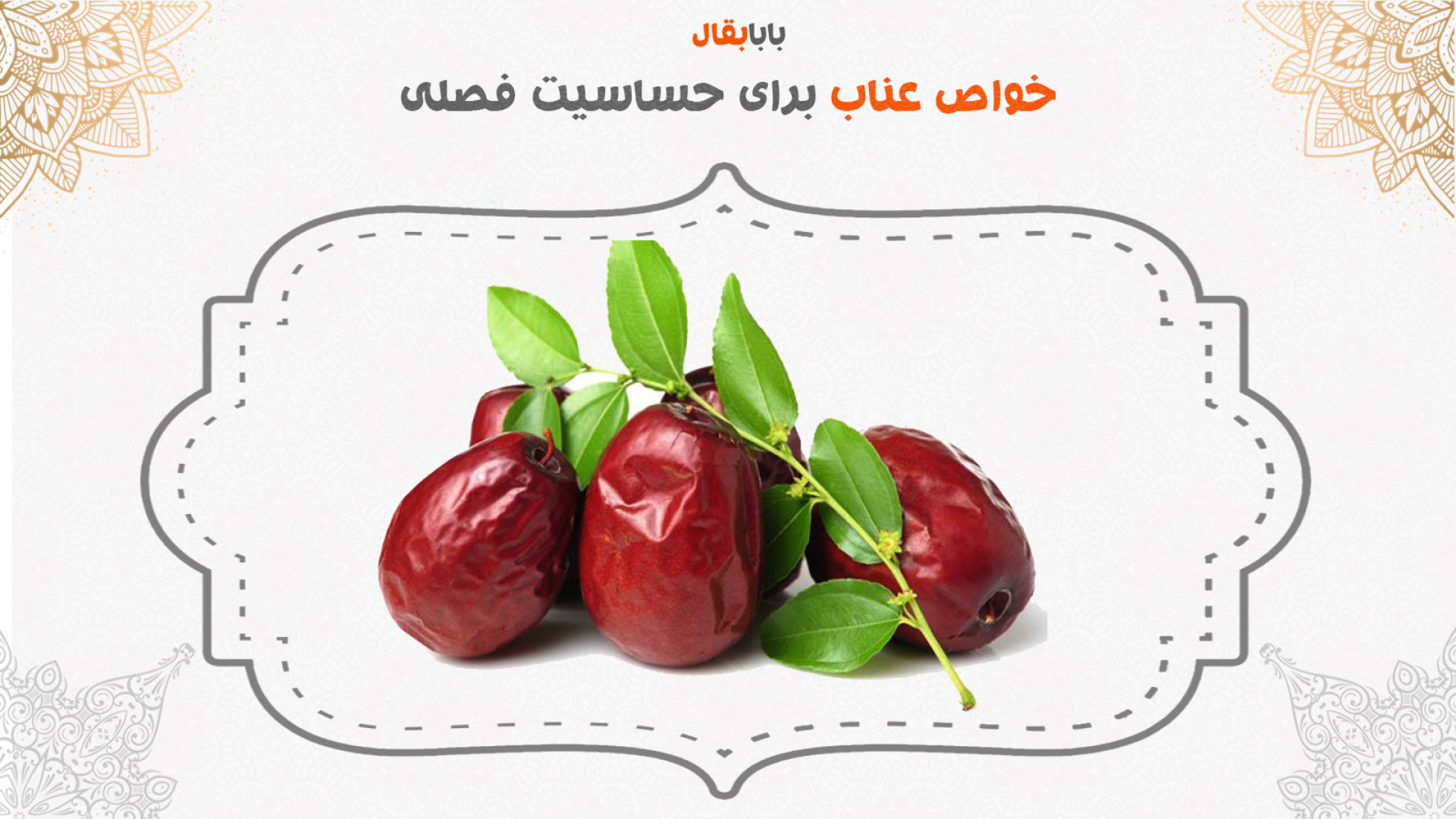 خواص عناب برای حساسیت فصلی و کهیر آکنه