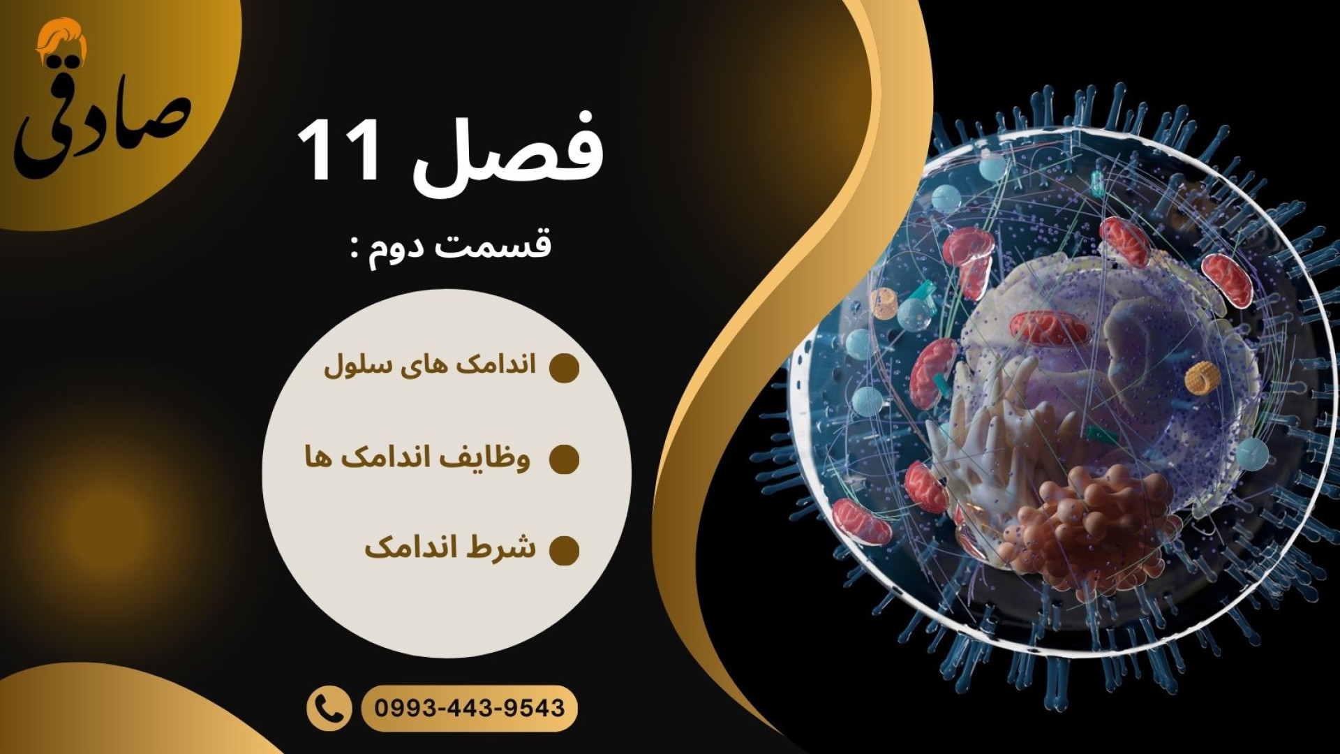 اندامک های درون سلولی گیمر