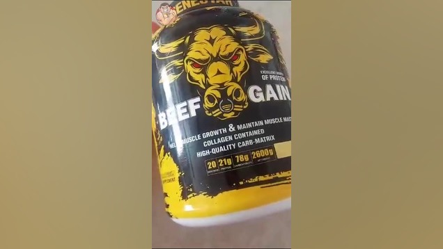 معرفی بیف گینر ژن استار شکیرا