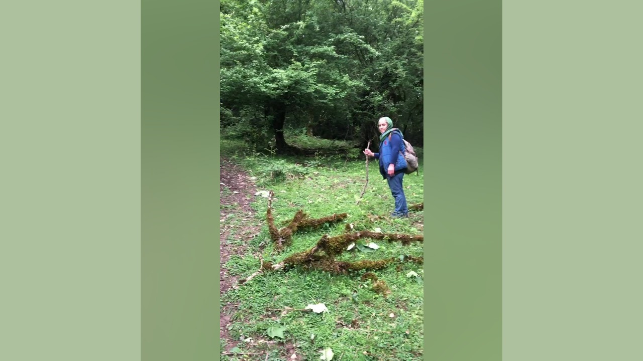 سرخدار ترمیم سوختگی