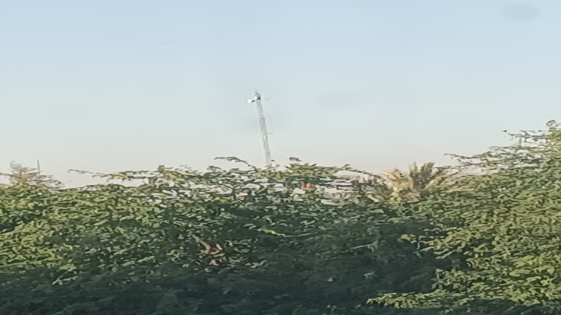 معرفی که از پارک‌های شهر ما زمان516ثانیه