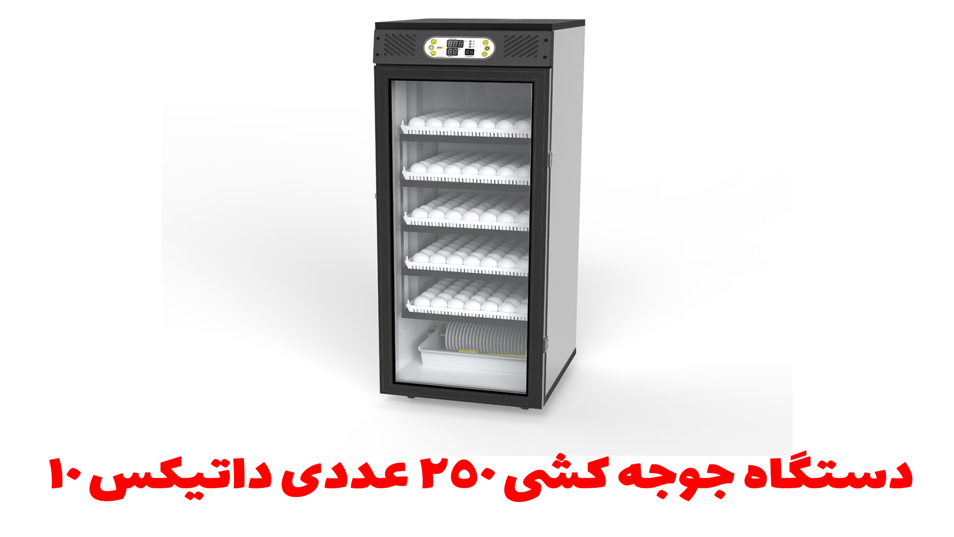 معرفی دستگاه جوجه کشی داتیکس 10 رفع غبغب