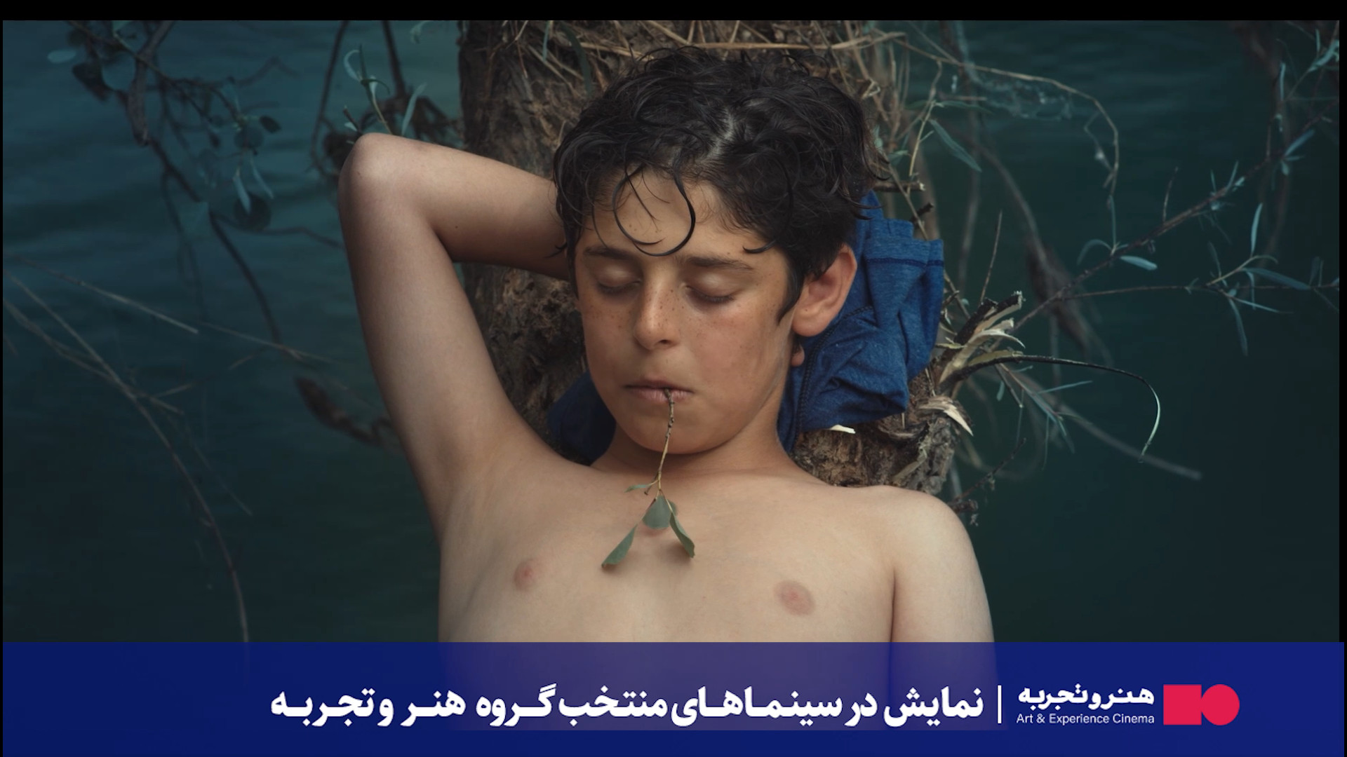 تیزر فیلم باد در کشتزارهای نیشکر زمان77ثانیه