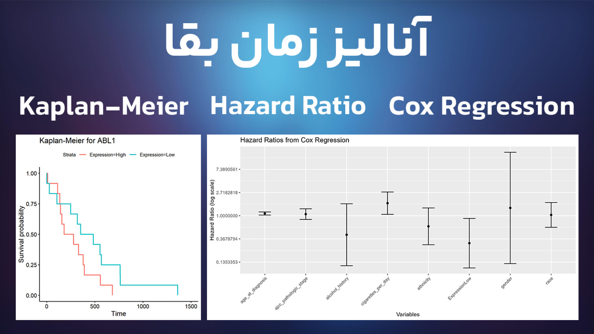 آموزش آنالیز زمان بقا، Hazard Ratio و Cox Regression در R شکیل اونیل