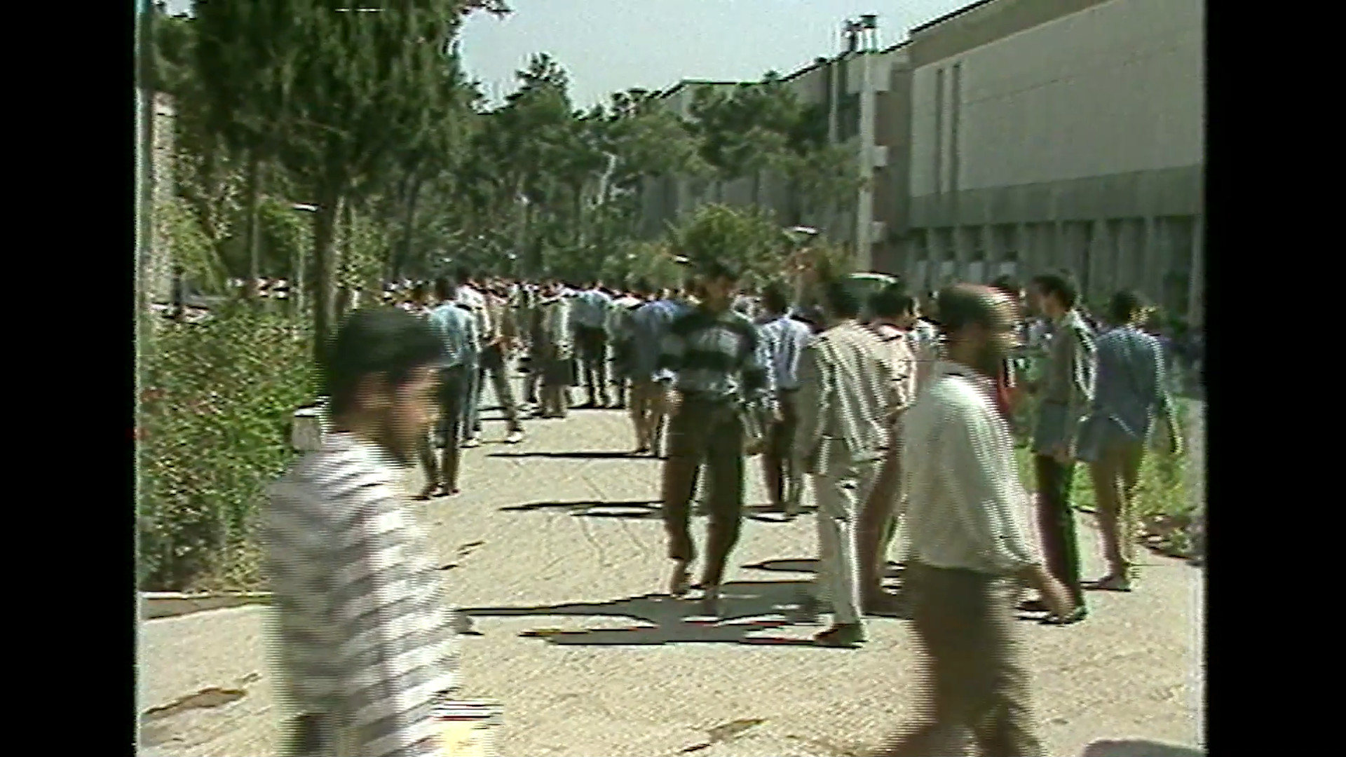 دعوا در جمع دانشجویی!
