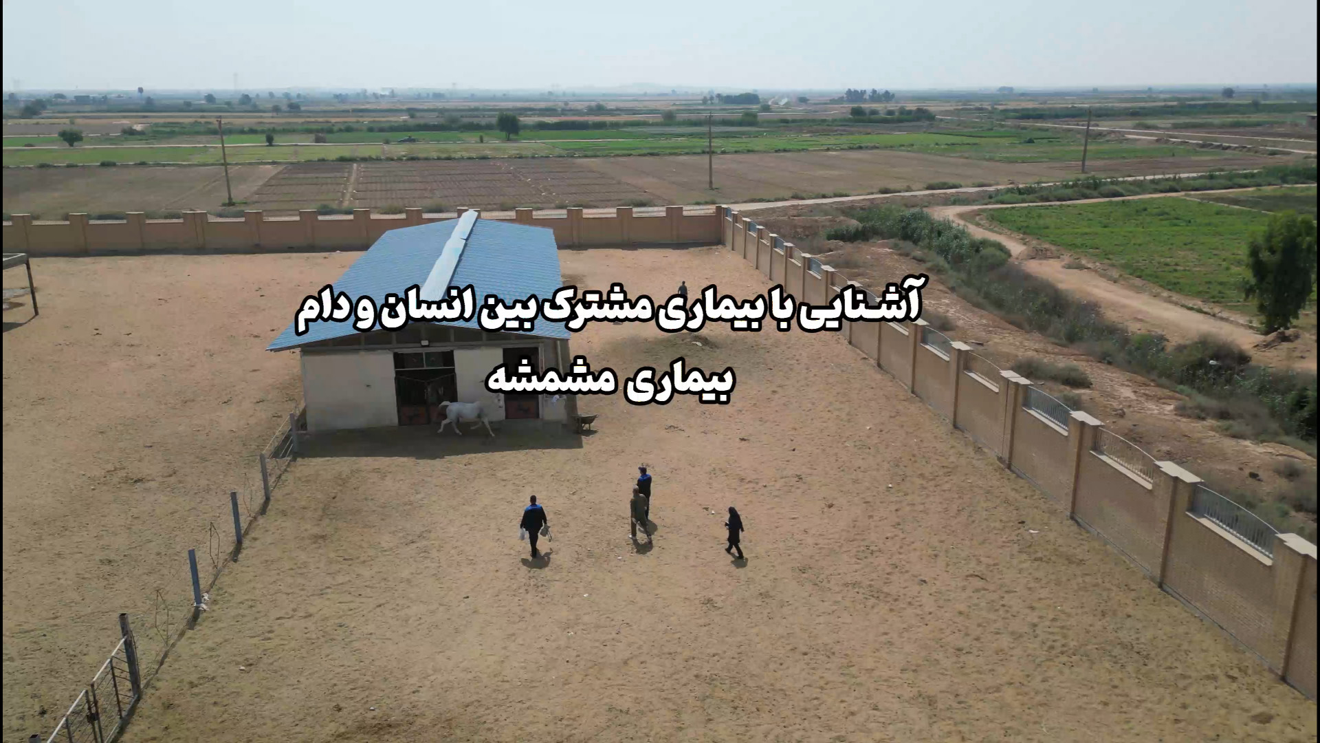 آشنایی با بیماری های مشترک بین انسان و دام - بیماری مشمشه گوهر خیراندیش